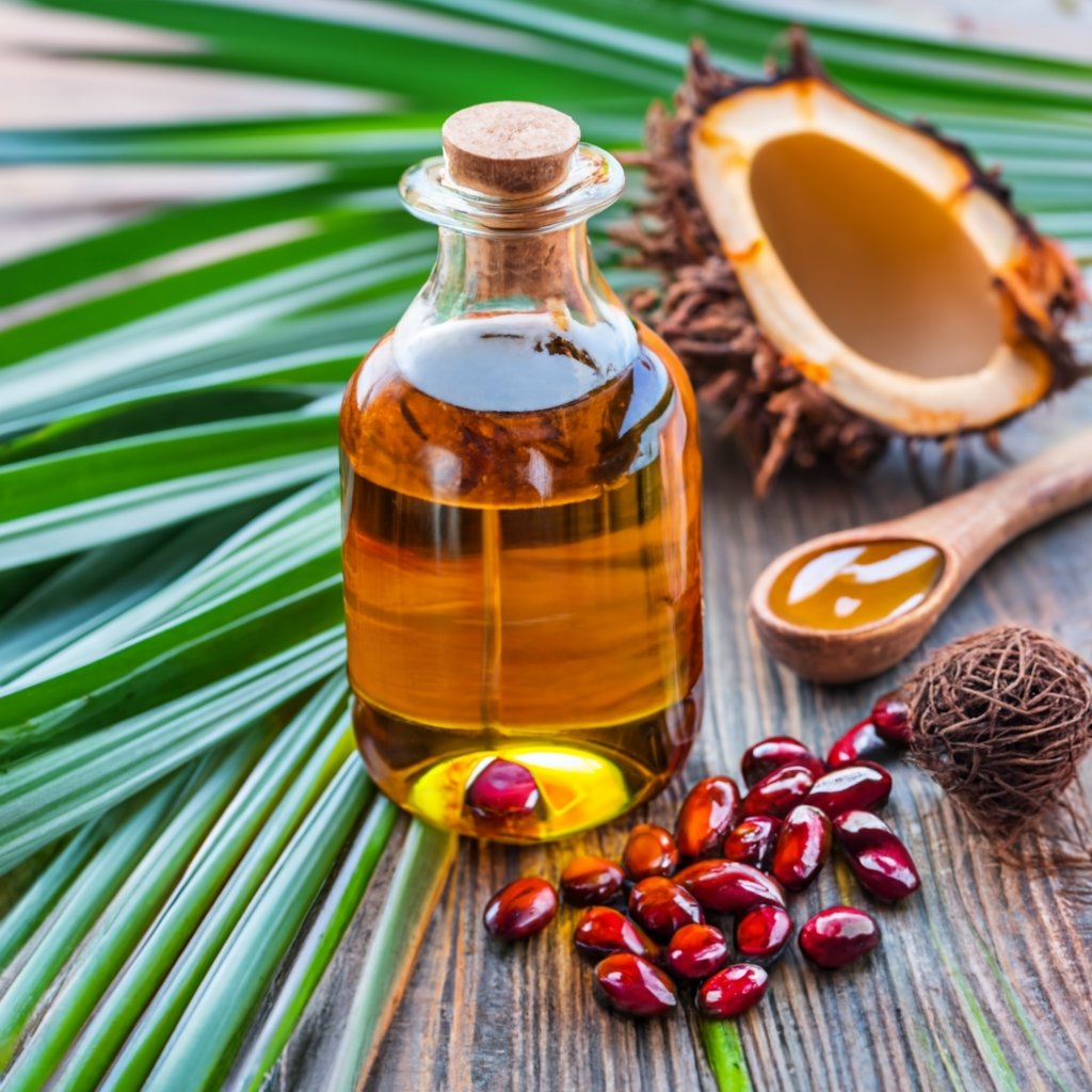 What are the disadvantages of red palm oil?
red palm oil substitute
red palm oil benefits
red palm 
what is red palm oil
red palm oil for hair