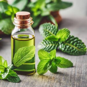 Peppermint Oil : what causes lower back pain in females: home remedies for sciatica