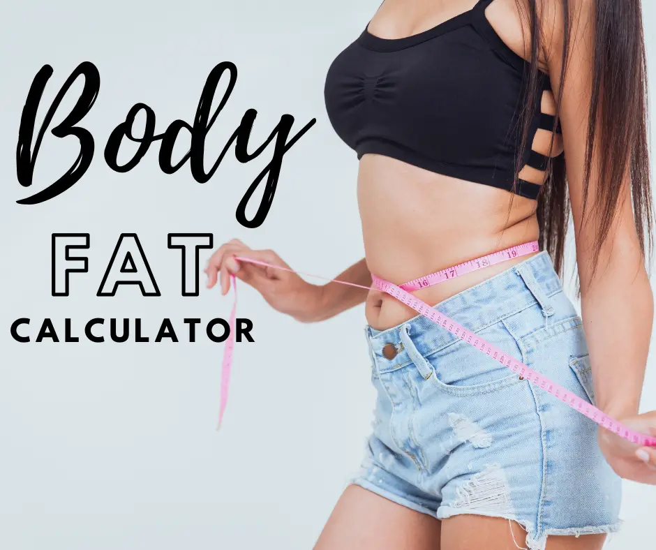 body fat calculator