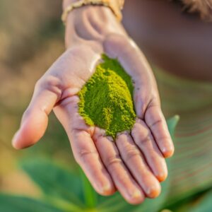 neem powder for hair growth
how to use neem powder for hair
neem powder for hair
how to use neem powder for teeth
neem powder
neem powder for teeth
neem powder for hair benefits
neem powder hair benefits
how to use neem powder
where to buy neem powder